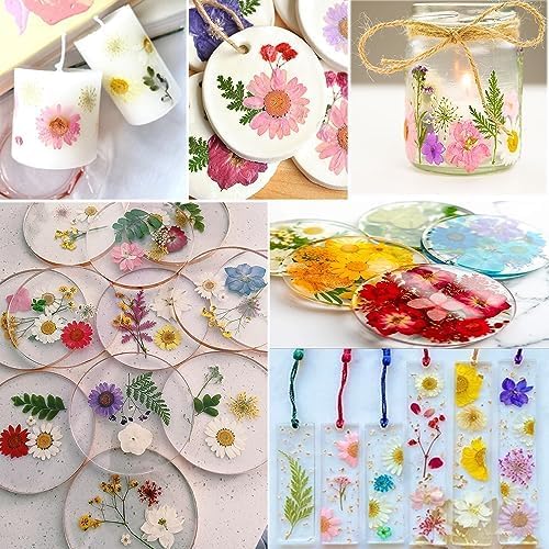 Bulk 410Pcs 11 Packs Mixed Real Natural Dried Pressed Flowers, Leaves & - Image 7