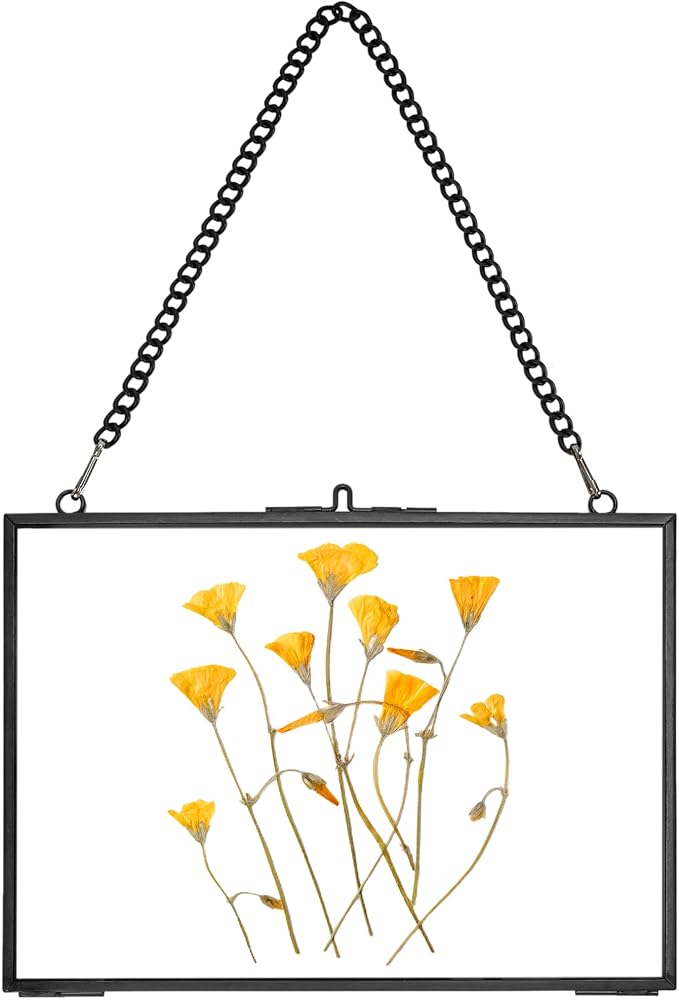 REDHUGO Hanging Pressed Flower Frame Handmade, Double Glass Picture Frame by REDHUGO