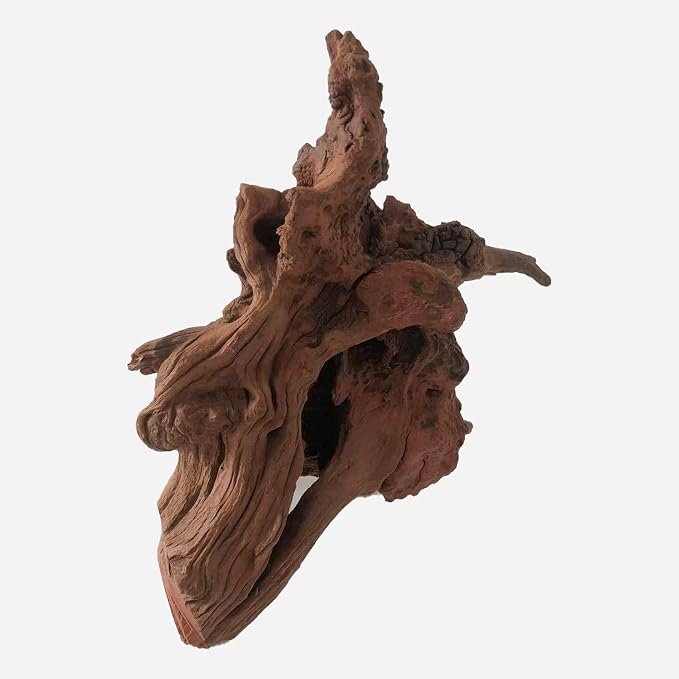 LYPHARD AQUARIUMS Natural Driftwood - Image 4
