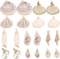 SUNNYCLUE 1 Box 20Pcs 10 Styles Seashell Charms Bulk Sea Shell Charms Large by SUNNYCLUE