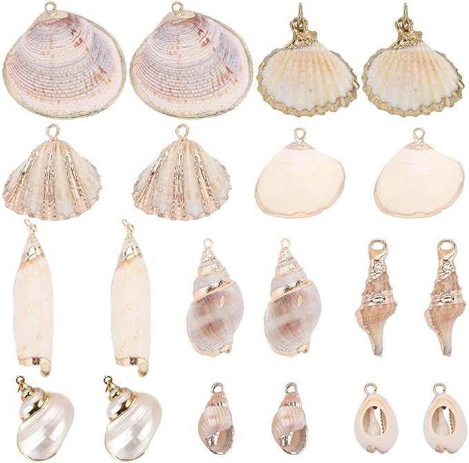 SUNNYCLUE 1 Box 20Pcs 10 Styles Seashell Charms Bulk Sea Shell Charms Large by SUNNYCLUE