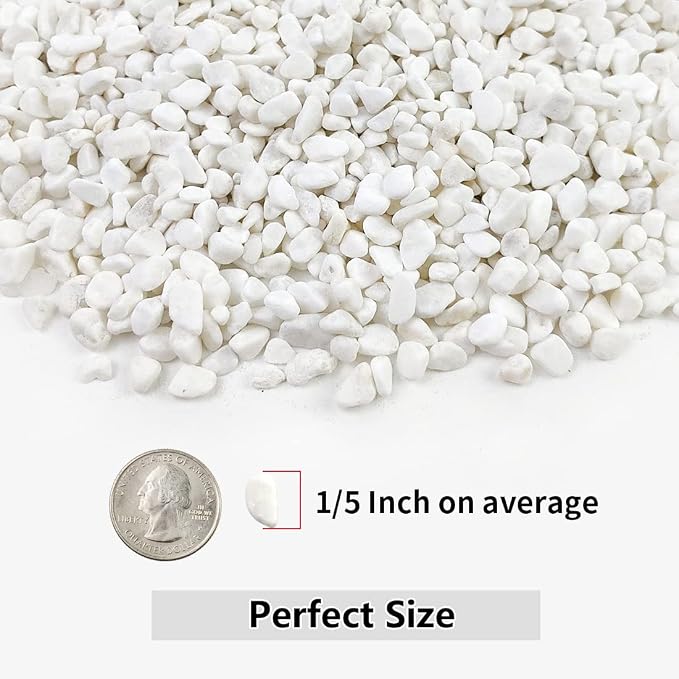 YISZM 10LB Succulent and Cactus Gravel, 1/5 Inch White Natural Decorative - Image 2