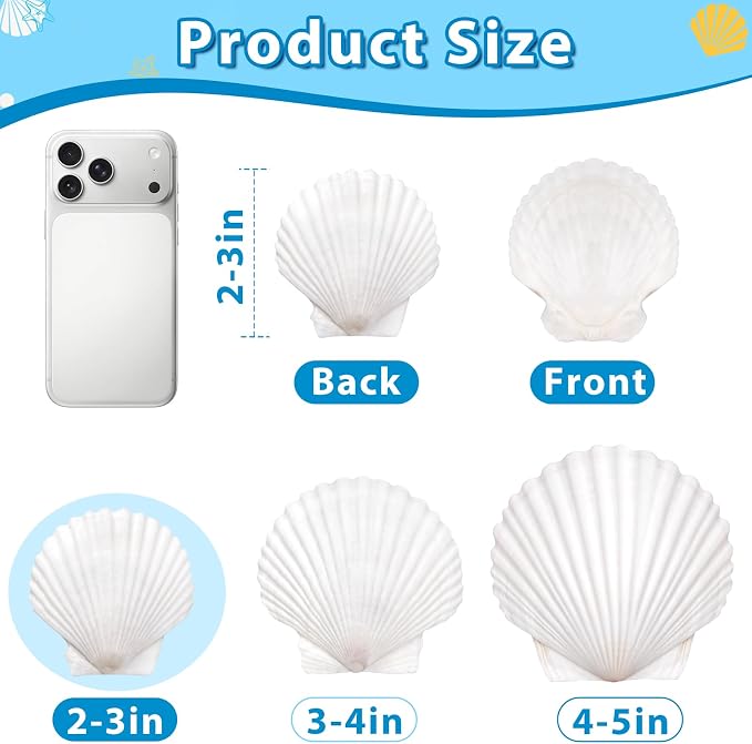 20Pcs 2-3 Inch Scallop Shells for Crafts, Natural White Scallop Shells for - Image 5