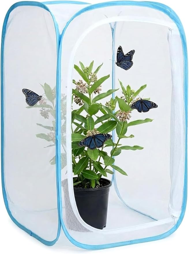 Insect & Butterfly Habitat Cage, Portable Pop-Up Terrarium - Image 7