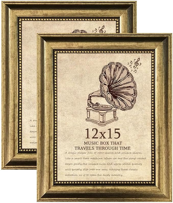 12x15 Picture Frame set of 2-Vintage Frames by TKYGU