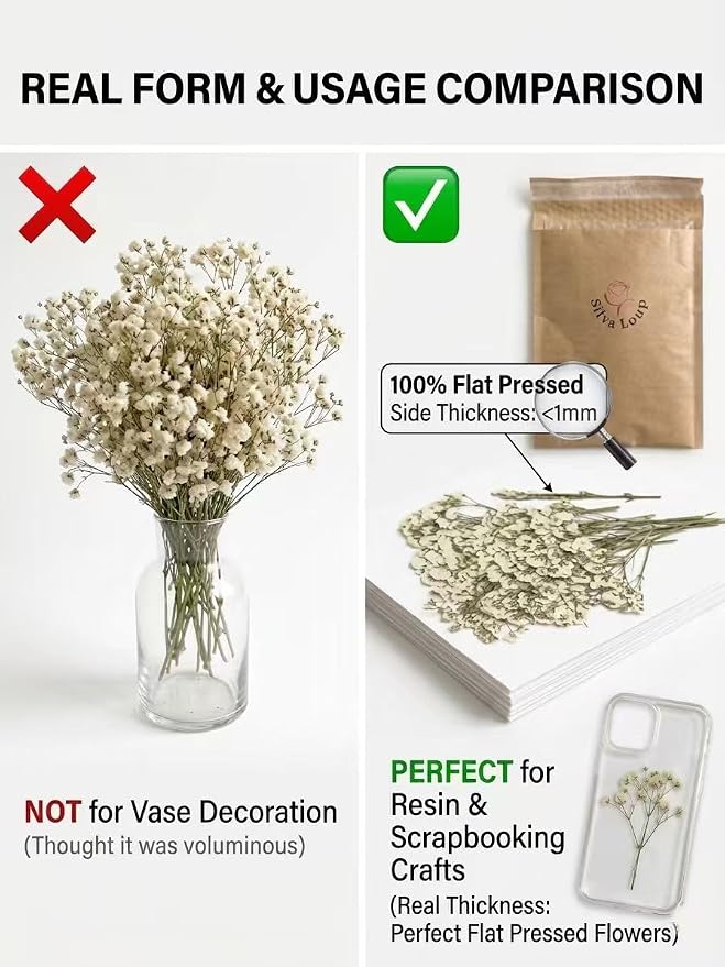 100Pcs Mini Dried Pressed White Baby's Breath Flowers Bulk - Image 3