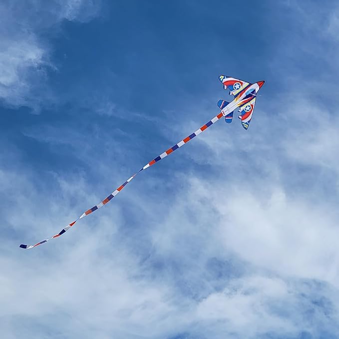 Large Single Line Beach Kite for Adults - Image 5