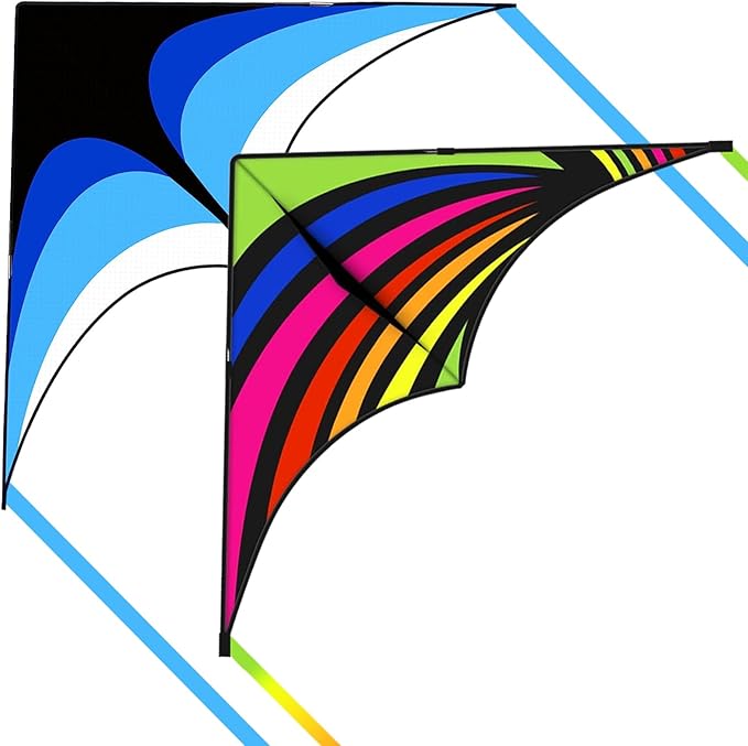 Large Single Line Beach Kite for Adults by Kaiciuss