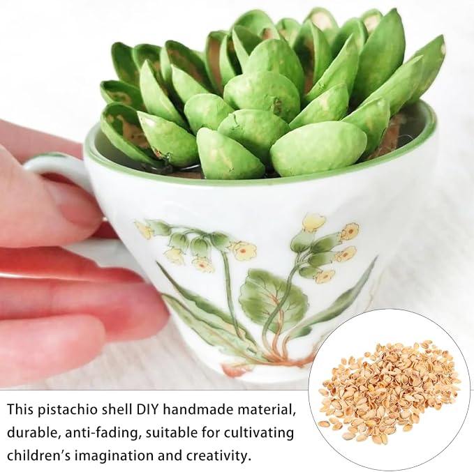 SEWACC Empty Pistachio Shells for DIY Crafts, Natural Handicraft Material for - Image 9