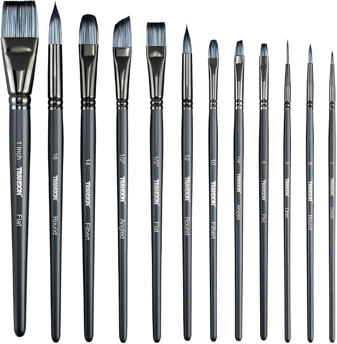 Transon Artist Paint Brush Set of 12 by Transon