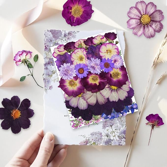 Large Purple Dried Pressed Flowers - Image 4
