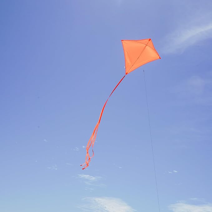 In the Breeze 3298 - Image 7