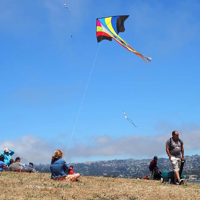 Mint's Colorful Life Delta Kite - Image 6