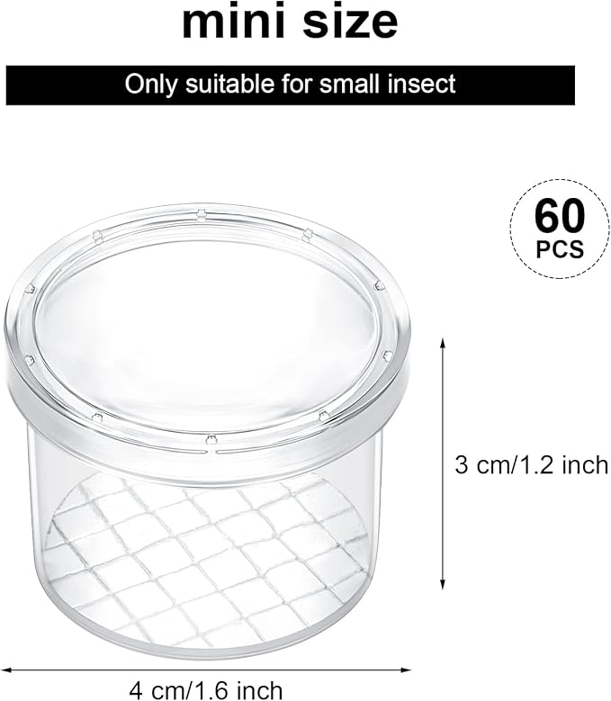 Thyle 60 Pieces Bug Viewer Bug Cage Catcher Magnifying Insect Box Bug Magnifier - Image 2