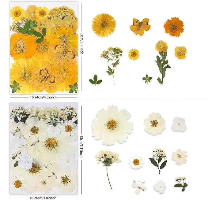 Dried Pressed Flowers - Image 3
