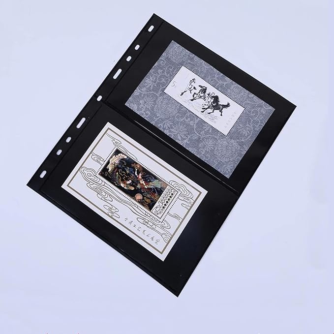 MUDOR 20 Sheets Stamp Pages for Collection Album Binder Book, 2 Pocket | Holds by MUDOR