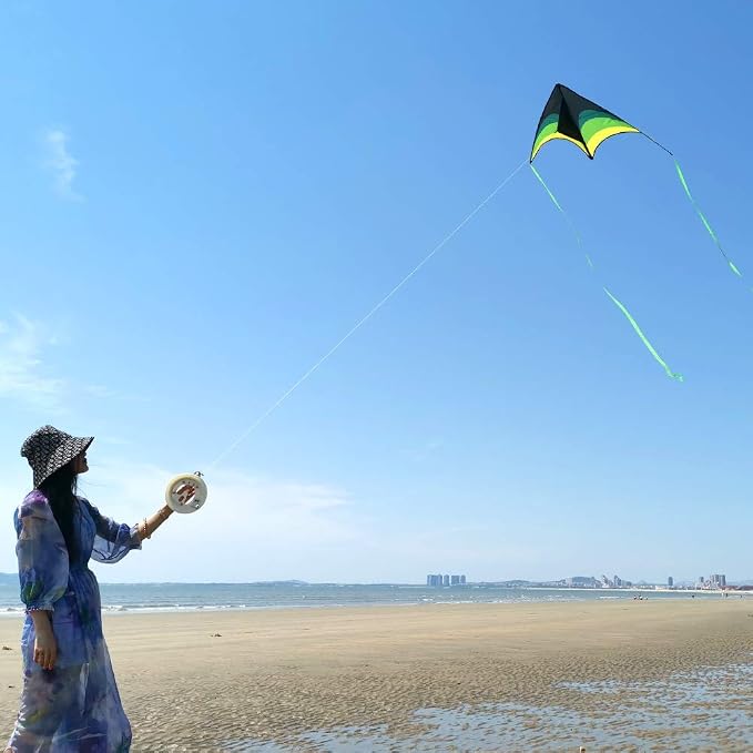 Mint's Colorful Life Delta Kite - Image 4