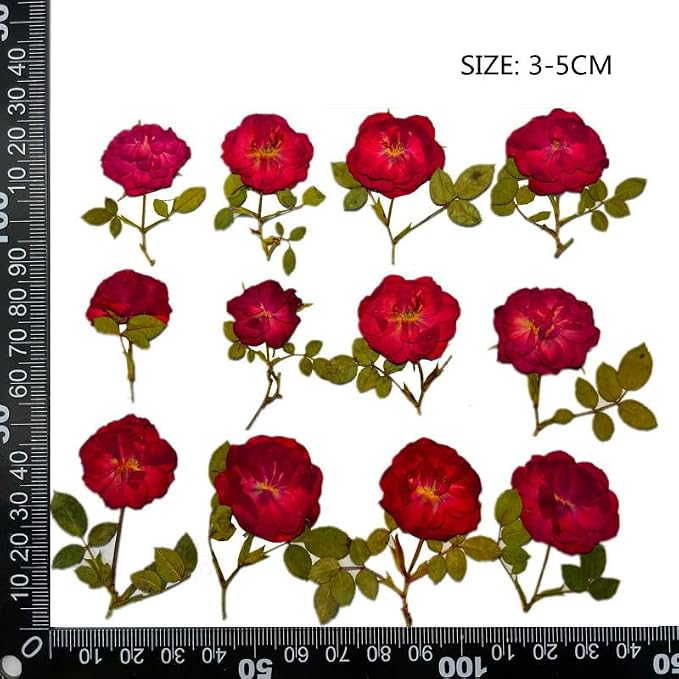 12 Pcs Nauture Dried Pressed Rose, Real Dried Pressed Flowers - Image 3