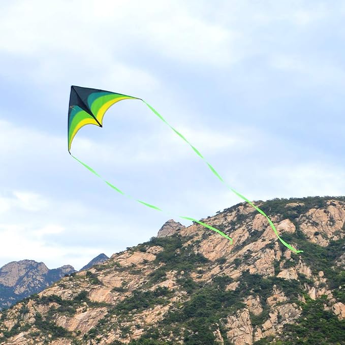 Mint's Colorful Life Delta Kite - Image 5