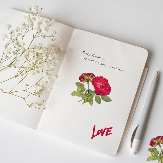 12 Pcs Nauture Dried Pressed Rose, Real Dried Pressed Flowers - Image 5