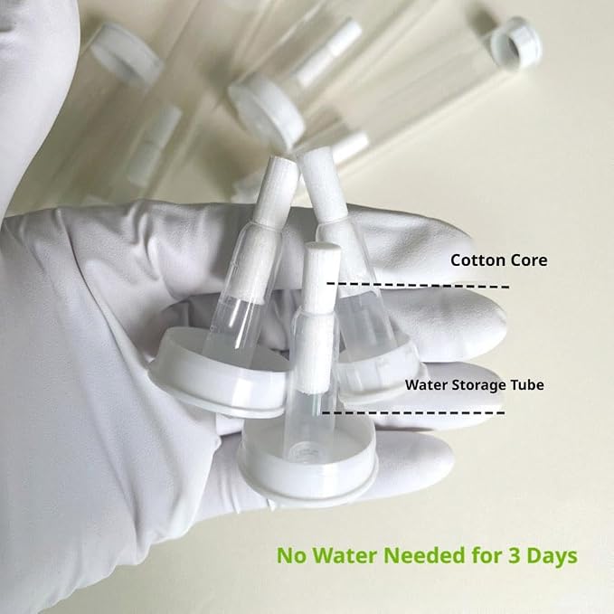 10 Sets Insect Observation Tubes - Image 4