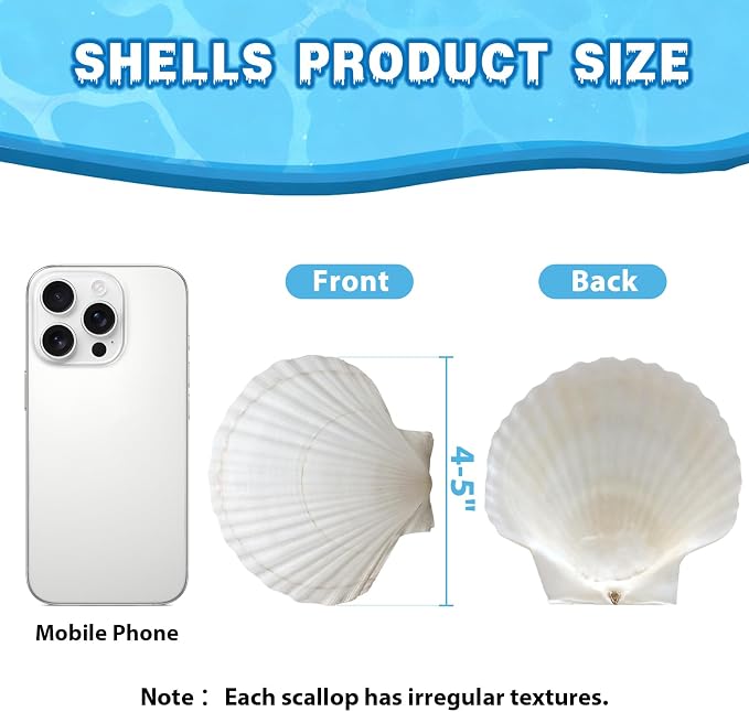 VMEECARL 10Pcs 4"-5" Large Scallop Shells - Image 3