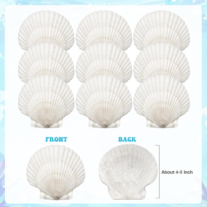 25 Pcs Large Scallop Shells for Crafts 4''-5'' White Scallop Shells Large - Image 2