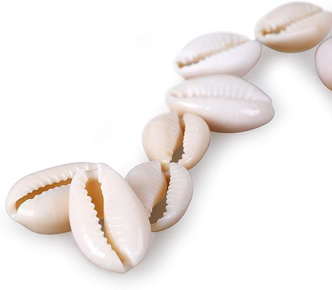 150 PCS White 0.63"-0.71" Natural Strong Cowrie Shell Beads Smooth Cut Oval - Image 3