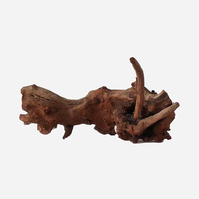 LYPHARD AQUARIUMS Natural Driftwood by LYPHARDAQUARIUMS
