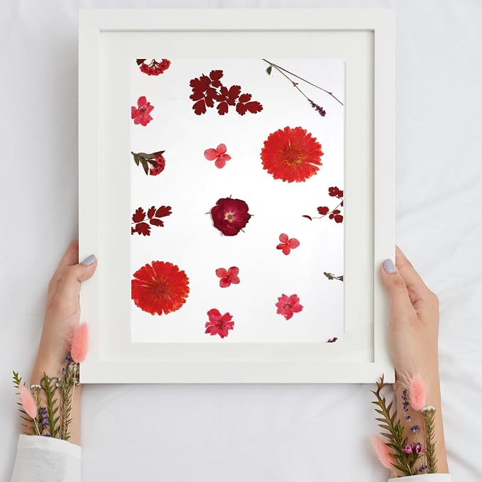 Dried Flowers for Resin | Vacuum Packed DIY Pressed Flowers for Epoxy, Nail - Image 7