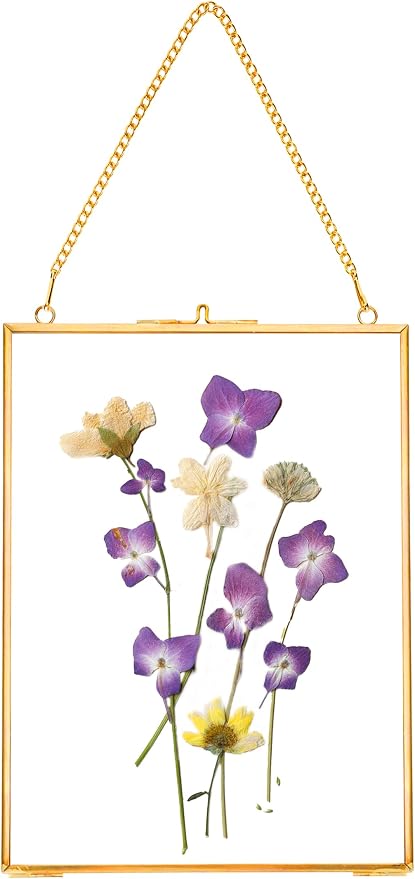 REDHUGO Hanging Pressed Flower Frames, Double Glass Floating Picture Frame by REDHUGO