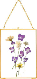 REDHUGO Hanging Pressed Flower Frames, Double Glass Floating Picture Frame by REDHUGO