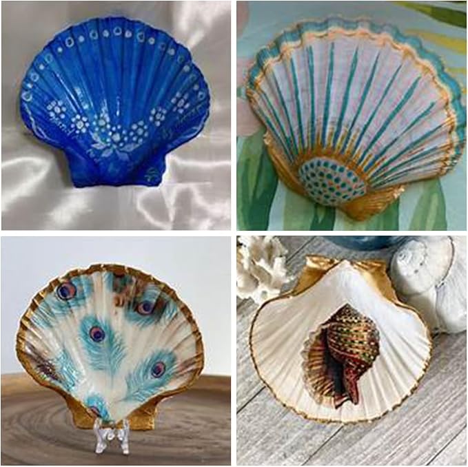 HappyFiller 12 PCS Natural Seashells 2-3 Inch, Beach Theme Party, Wedding - Image 7