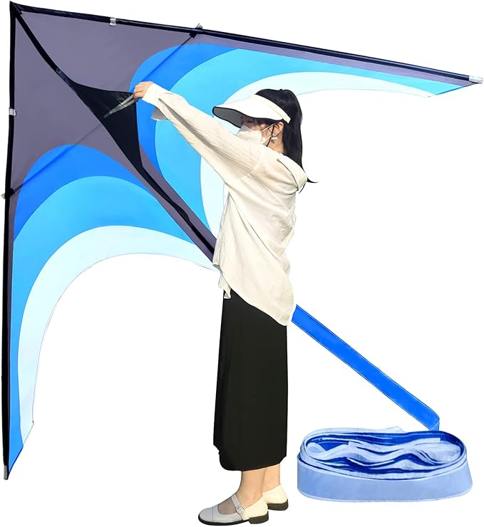 Large Single Line Beach Kite for Adults by Kaiciuss