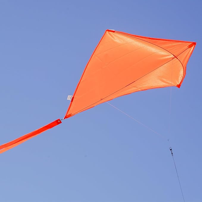 In the Breeze 3298 - Image 3