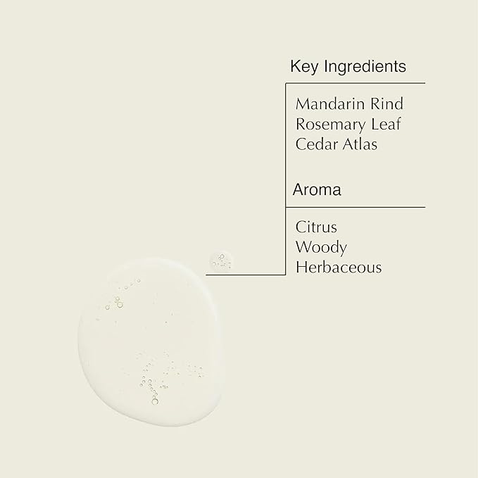 Aesop Resurrection Aromatique Hand Wash | Gentle Cleanser with Orange, Rosemary and Lavender Oils | 500mL / 16.9 oz