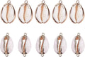 SUNNYCLUE 1 Box 10Pcs Oval Ocean Beach Spiral Seashells Craft Charms Connectors by SUNNYCLUE