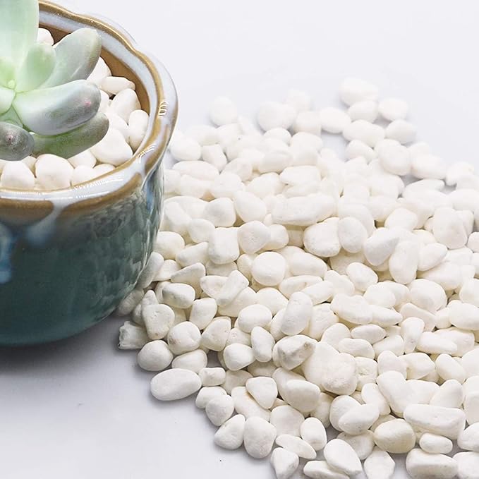 TOYPOPOR Mini White Rocks Stone Decorative Pebbles Vase Fillers Succulents - Image 3