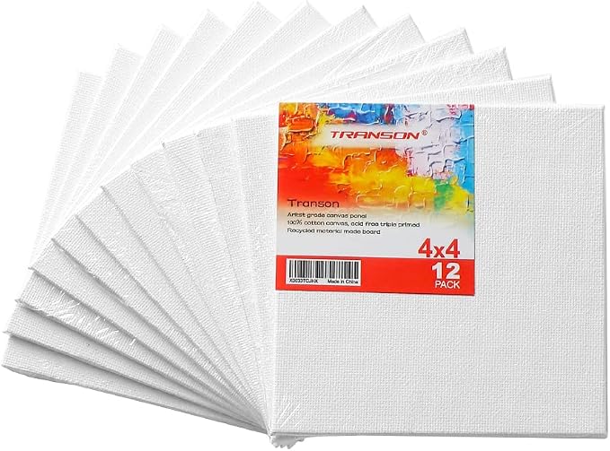 Transon 12 Pack 4x4 Inch Canvas Panel - Image 6