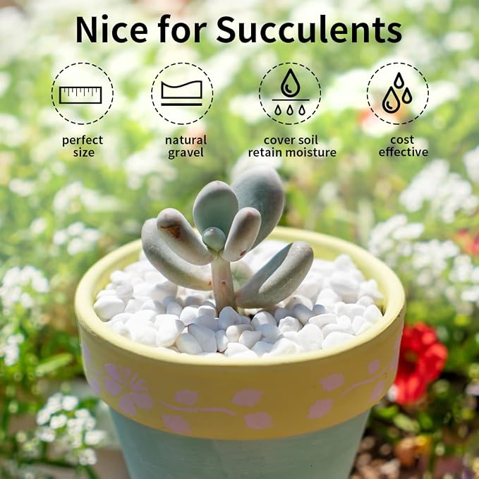 FANTIAN 2 lbs White Rocks for Plants, 3/8 Inch Gravel Pebbles for Plants. - Image 4