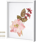 12x16 Shadow Box Frame with Linen Background & Metal Push Pins by Unknown