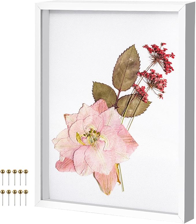 12x16 Shadow Box Frame with Linen Background & Metal Push Pins by Unknown