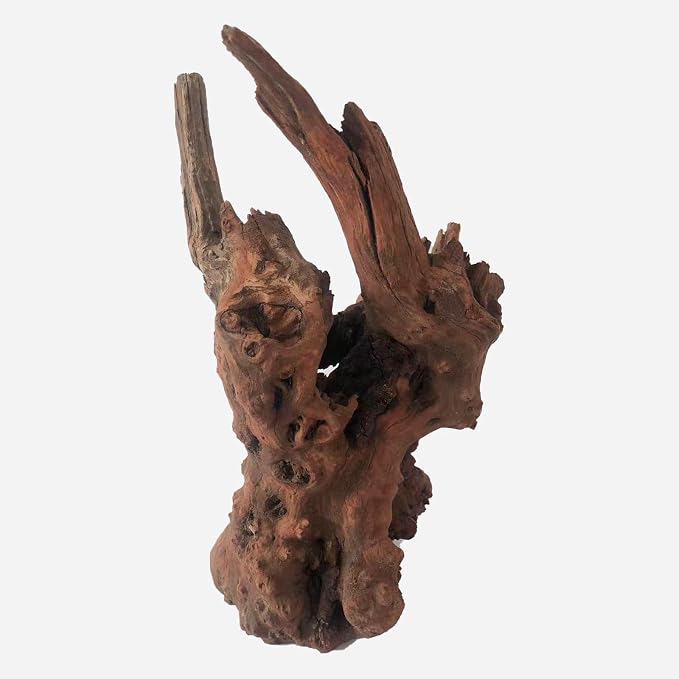LYPHARD AQUARIUMS Natural Driftwood - Image 3