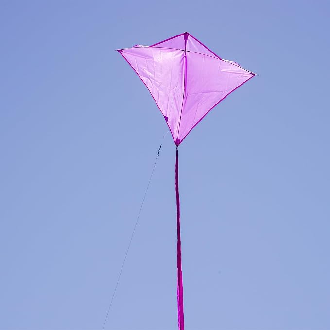 In the Breeze 3295 - Image 3