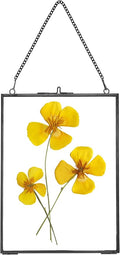REDHUGO Hanging Pressed Flower Frames, Double Glass Floating Picture Frame by REDHUGO