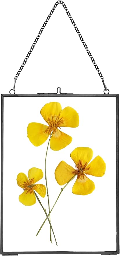 REDHUGO Hanging Pressed Flower Frames, Double Glass Floating Picture Frame by REDHUGO