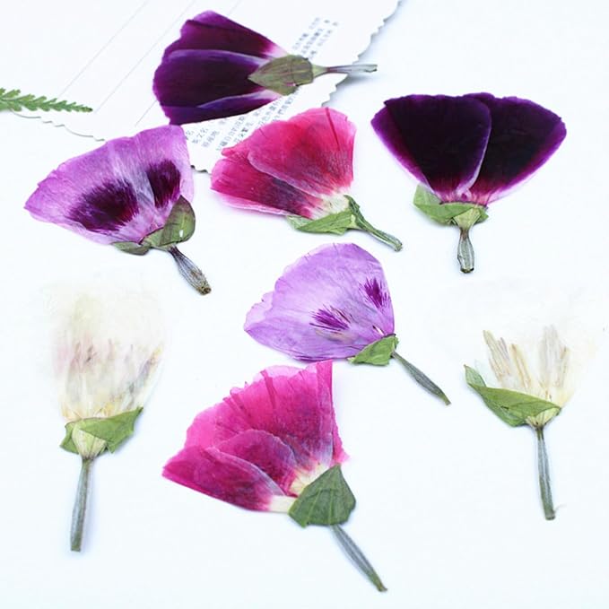 48 Pcs Dried Pressed Flowers for Crafts Art Resin DIY Natural Dry Floral Epoxy - Image 3