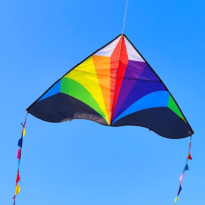 Large Single Line Beach Kite for Adults - Image 3