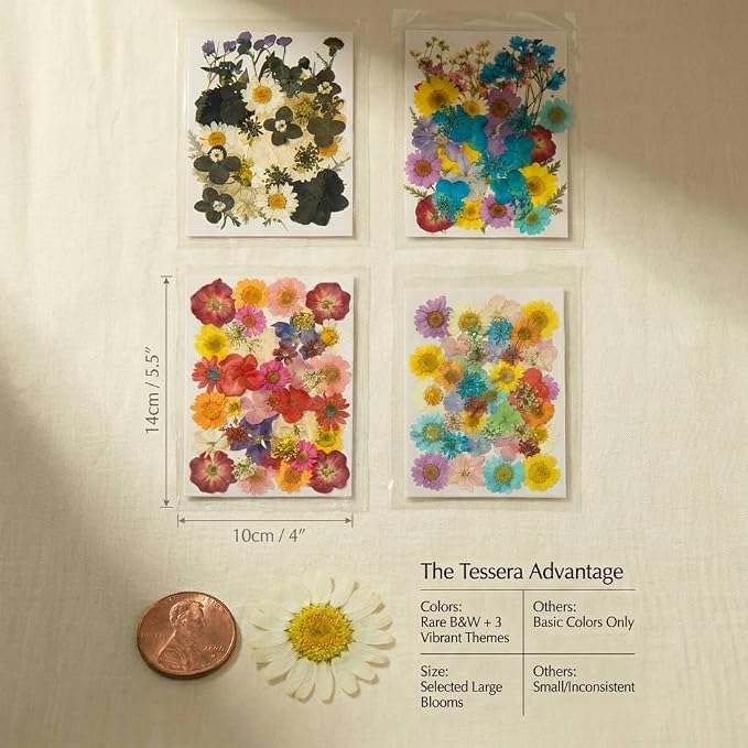 Tessera 160+ Pcs Real Pressed Flowers - Image 2