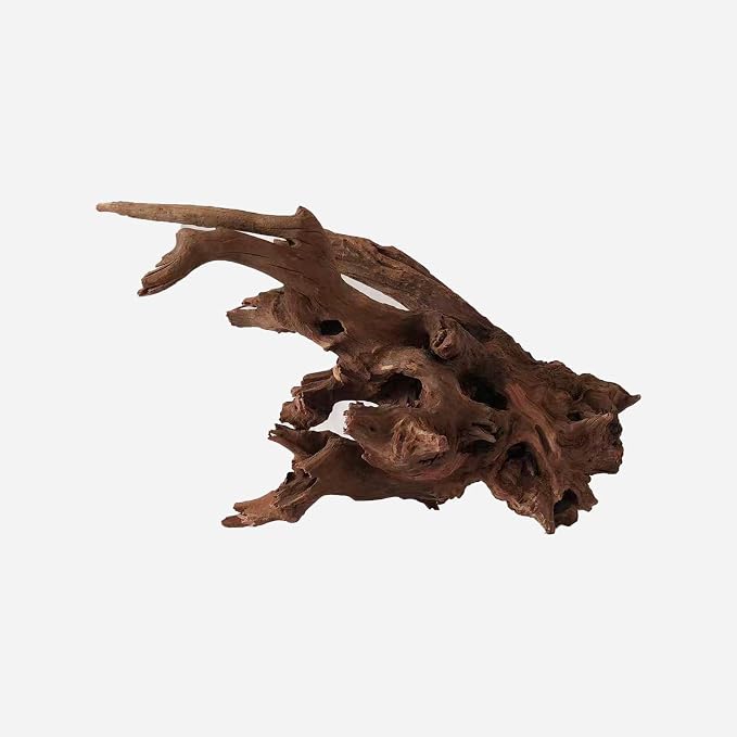 LYPHARD AQUARIUMS Natural Driftwood - Image 2
